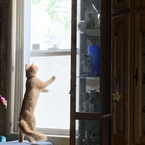 Fundraising Page: Randy Roetter